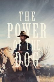 Sức Mạnh Của Loài Chó – The Power of the Dog